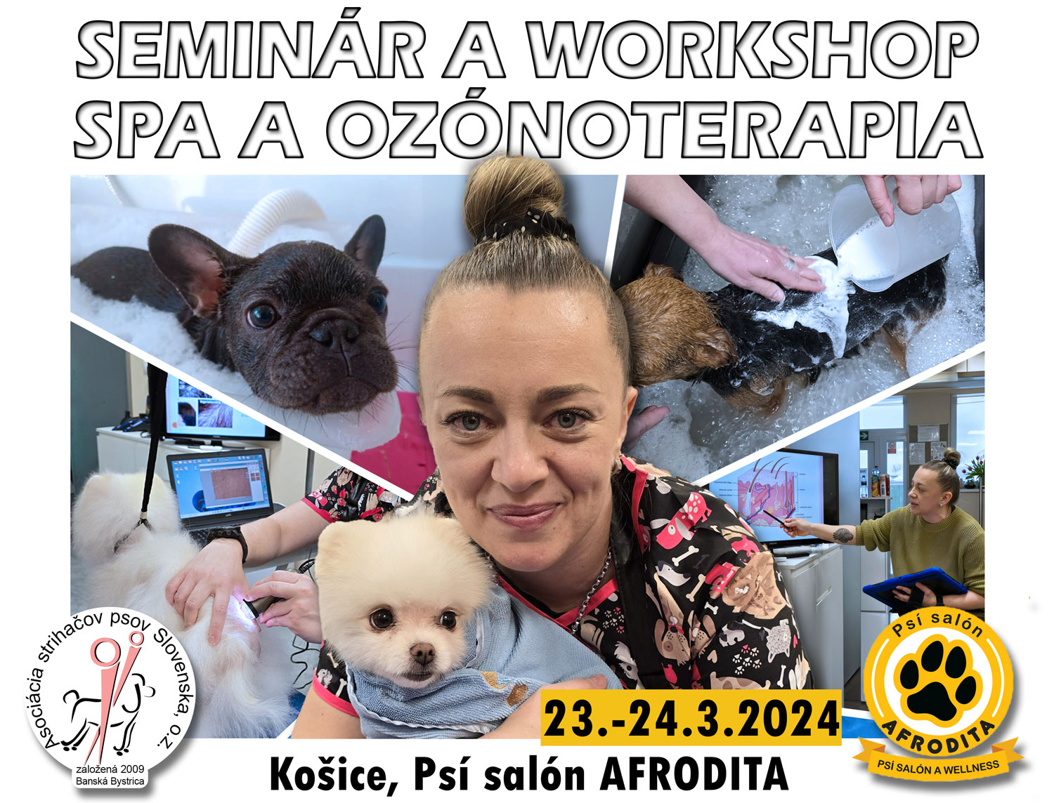 484084383_1048659357308295_7224283438653892842_n